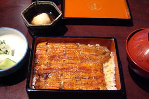 unagi